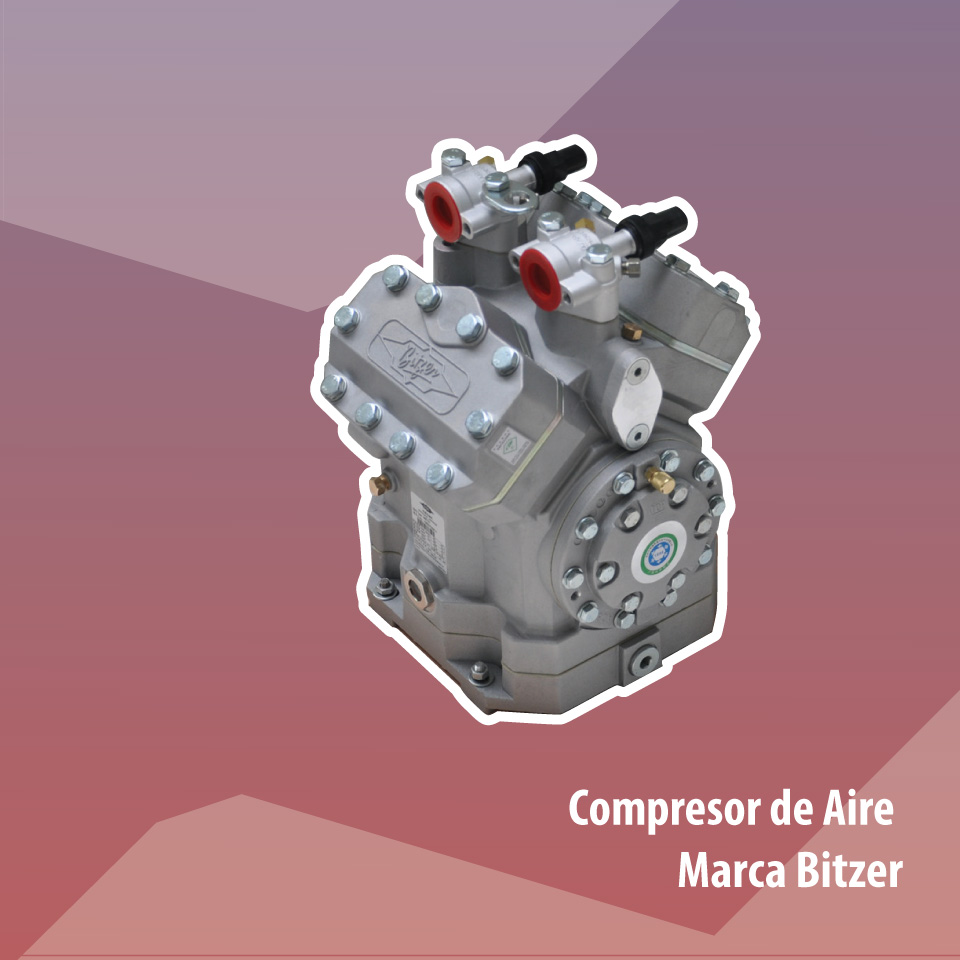 Compresor Aire Bitzer